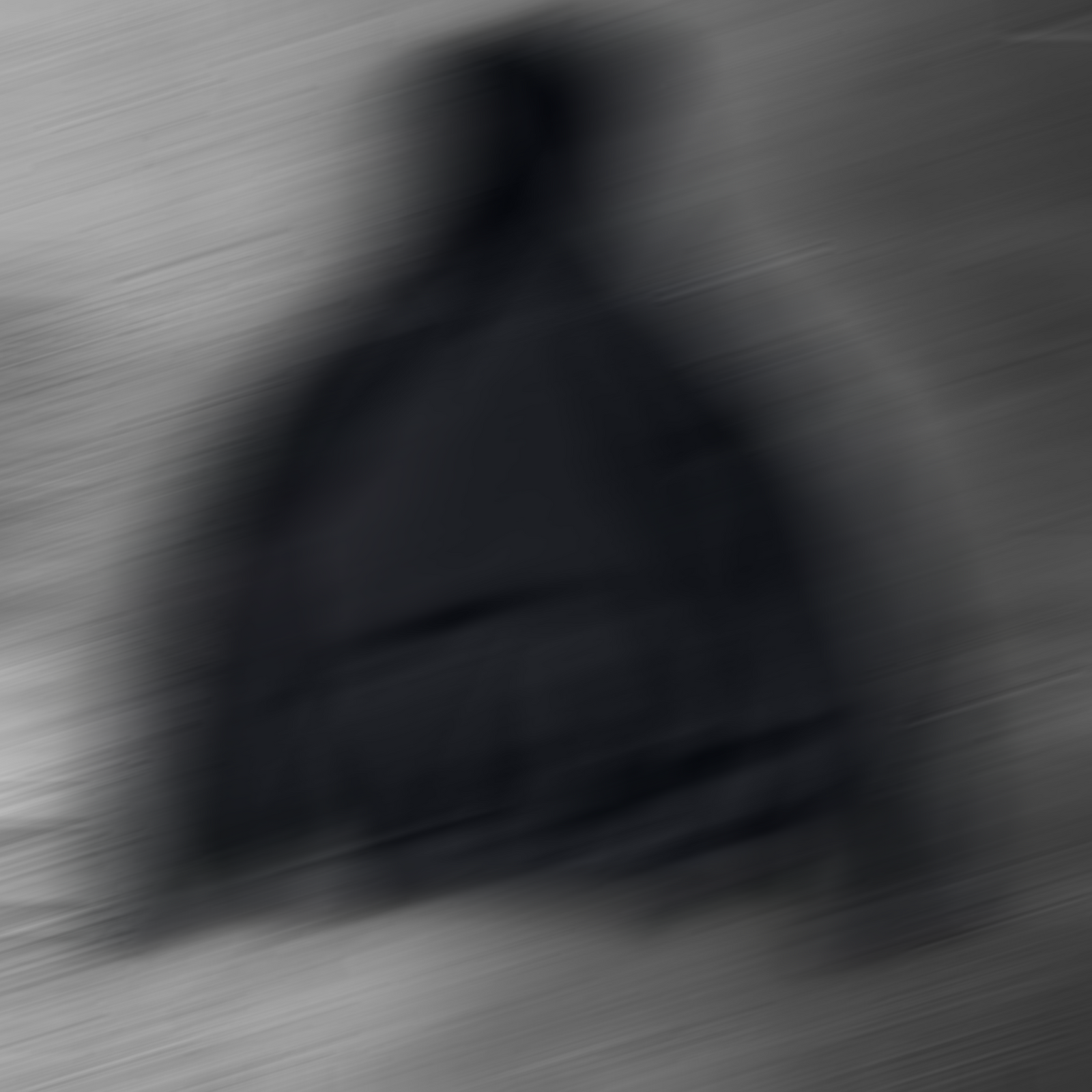 Mystery Hoodie